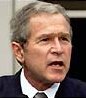 GW_bush.jpg (3598 bytes)